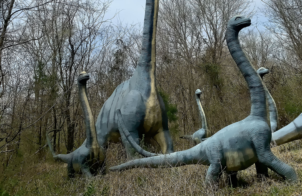 Many Dinosaurs